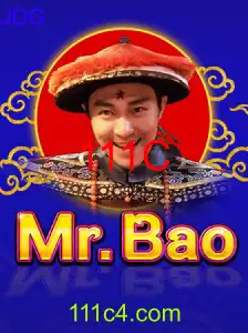 MrBao